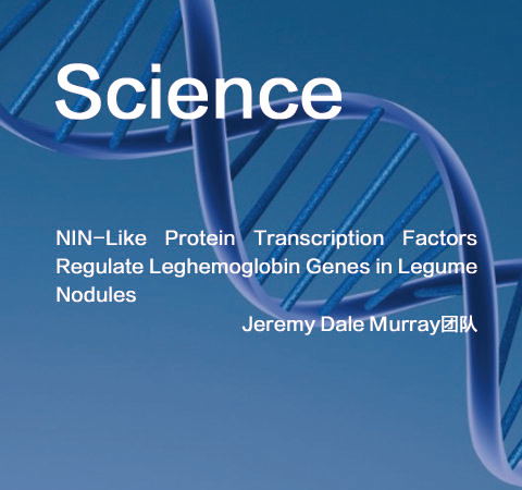 祝賀Jeremy Dale Murray團(tuán)隊佳作榮登Science期刊！